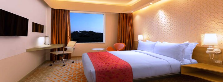 640/Holiday Inn Express Chennai Mahindra World City - Chennai 11.jpg